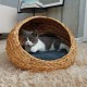 WATER HYACINTH PET BED